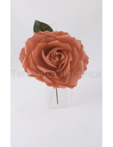 Roses double pince