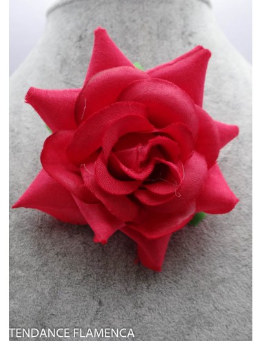 Rose  rose fuschsia